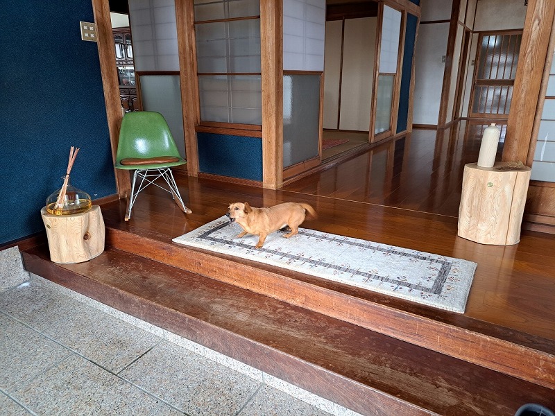 アートギャッベ（159×53cm）の施工例
