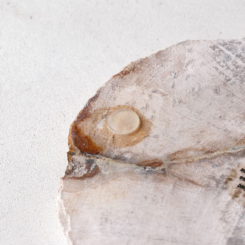 樹木の小物プレート