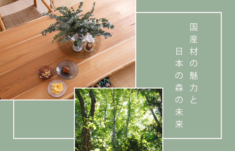 国産材の魅力と日本の森の未来