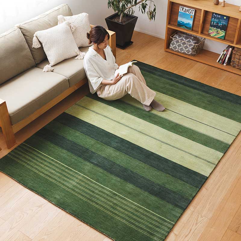 ハグみじゅうたん てざわりCOLLECTION ER6179