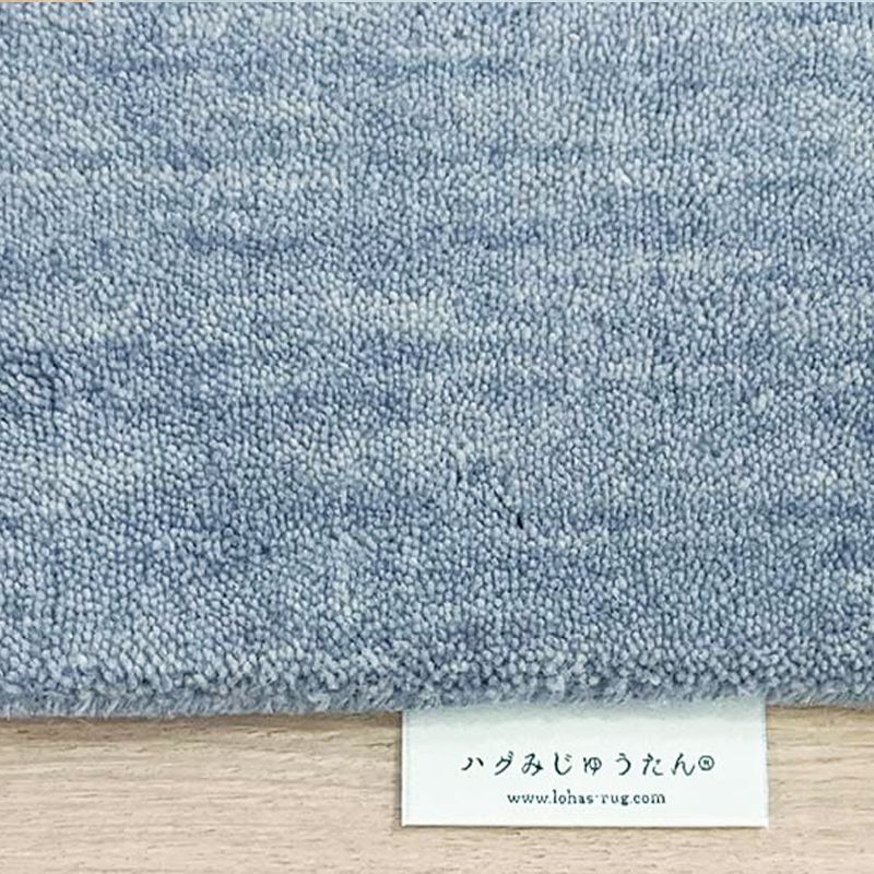ハグみじゅうたん® てざわり無地シリーズ シルクブルー