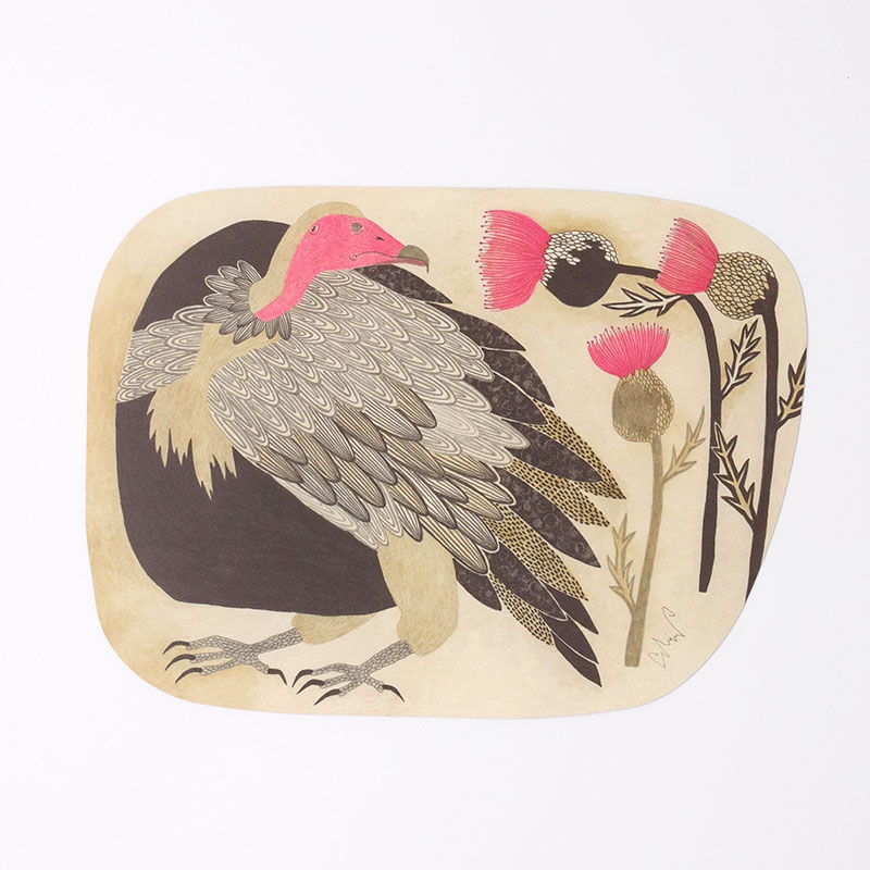 「moritaMiW] オリジナル・ポストカード 美しい色の鳥と美しい色の花