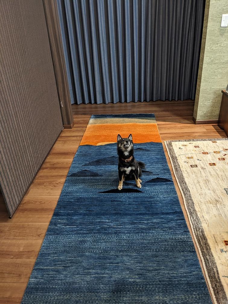 アートギャッベ(396×96cm)の施工例