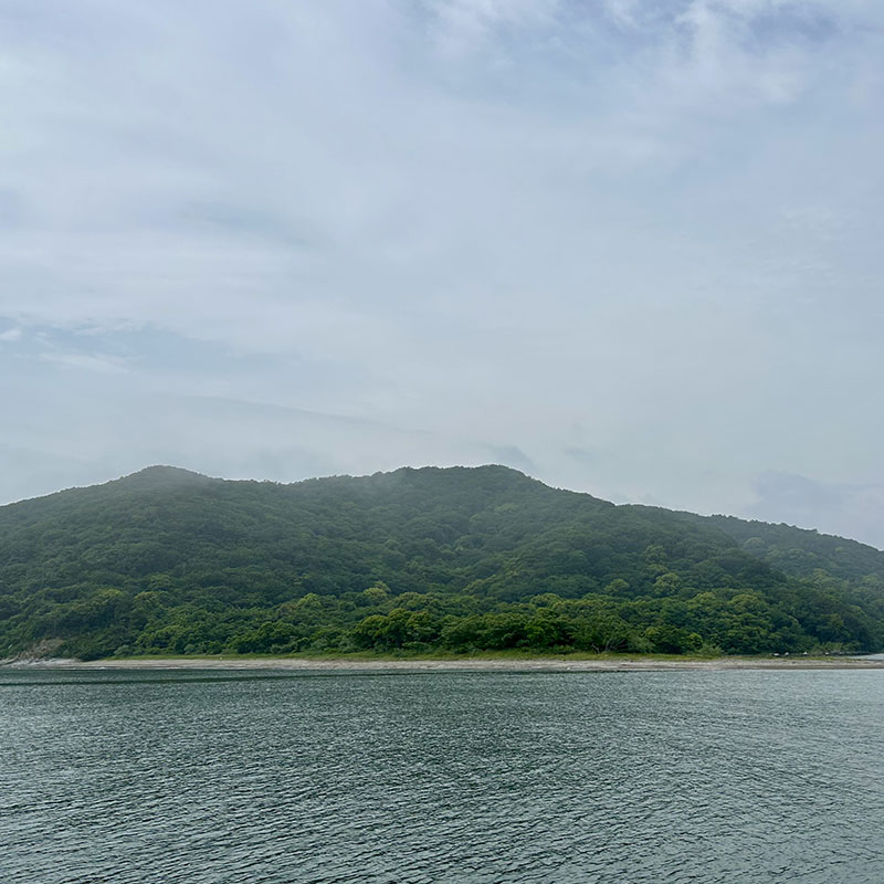 海と山の景色