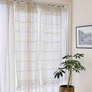 プラントシリーズ / プラント ブラウン