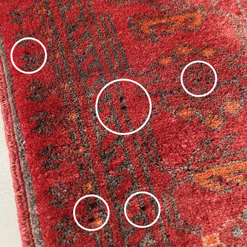 [トルクメン バシリ] 1990年代 / 76×114cm / OR1116 / 細かな糸抜けが多数あり