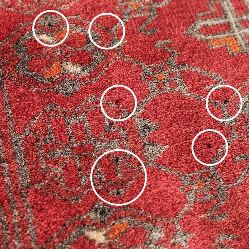 [トルクメン バシリ] 1990年代 / 76×114cm / OR1116 / 細かな糸抜けが多数あり