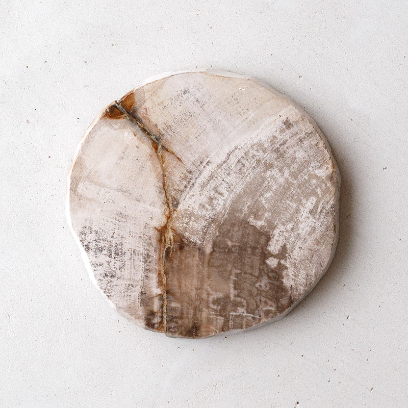 樹木の小物プレート