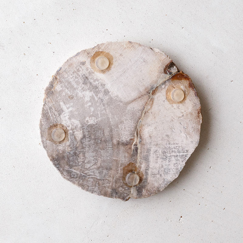 樹木の小物プレート