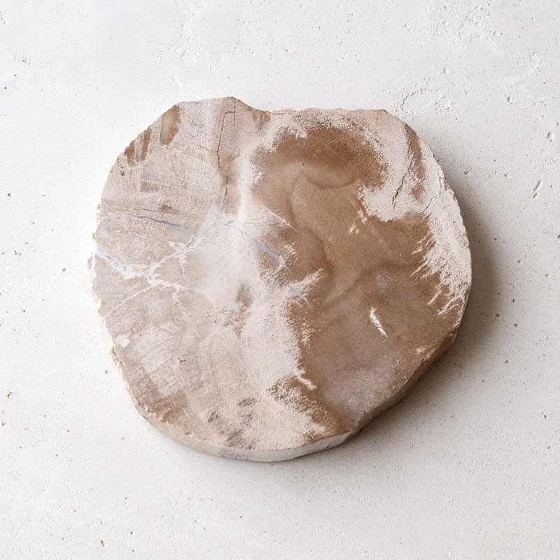 樹木の小物プレート