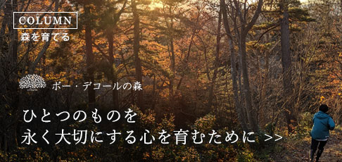 コラム-森を育てる [ボー・デコールの森]　ひとつのものを永く大切にする心を育むために