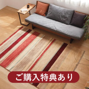 ハグみじゅうたん ご購入キャンペーン