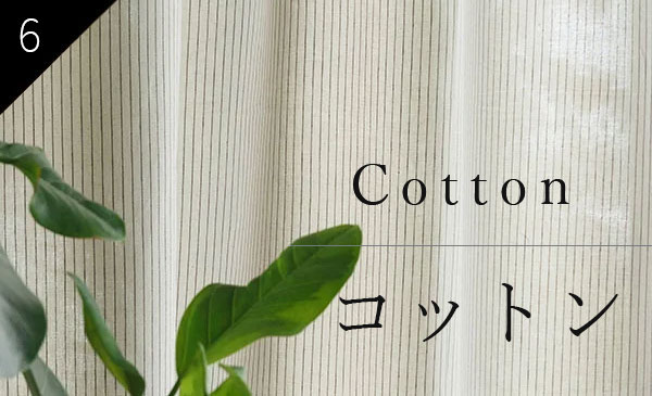 コットンカーテン