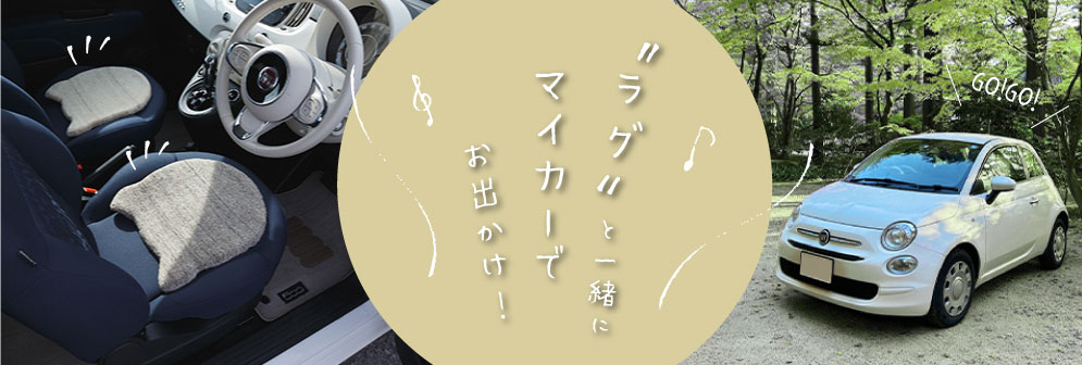 ラグと一緒にマイカーでお出かけ