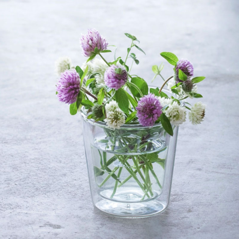 ダブルウォールグラス