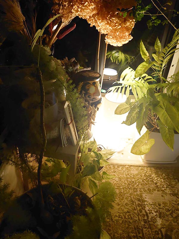 観葉植物と照明
