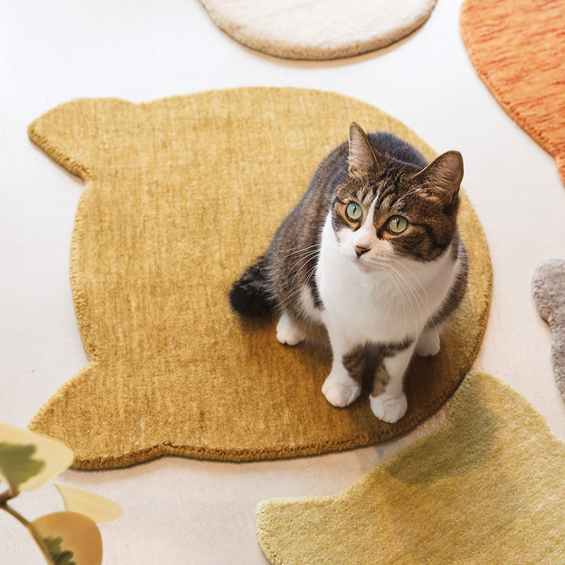 ウールラグ ねこラグ ウール絨毯の上の猫