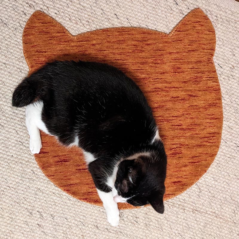 ウールラグ ねこラグ ウール絨毯の上でくつろぐ猫