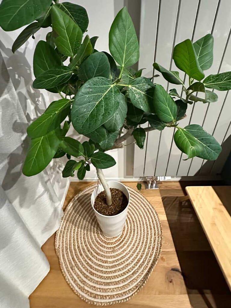 ジュートラグ(麻ラグ) [ライト] シリーズ 手仕事で仕上げた天然素材のジュートコットンマット [サークル]