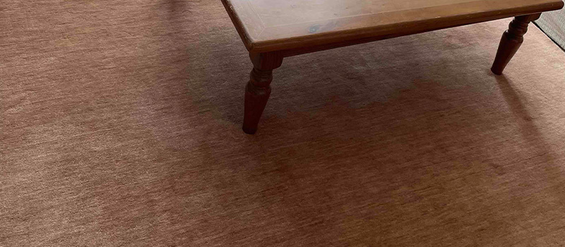 [ハグみじゅうたん®] てざわり無地シリーズ 無垢の床にやさしい天然素材の厚手ウールラグ [ハグみじゅうたん]マーヴ / ER7006