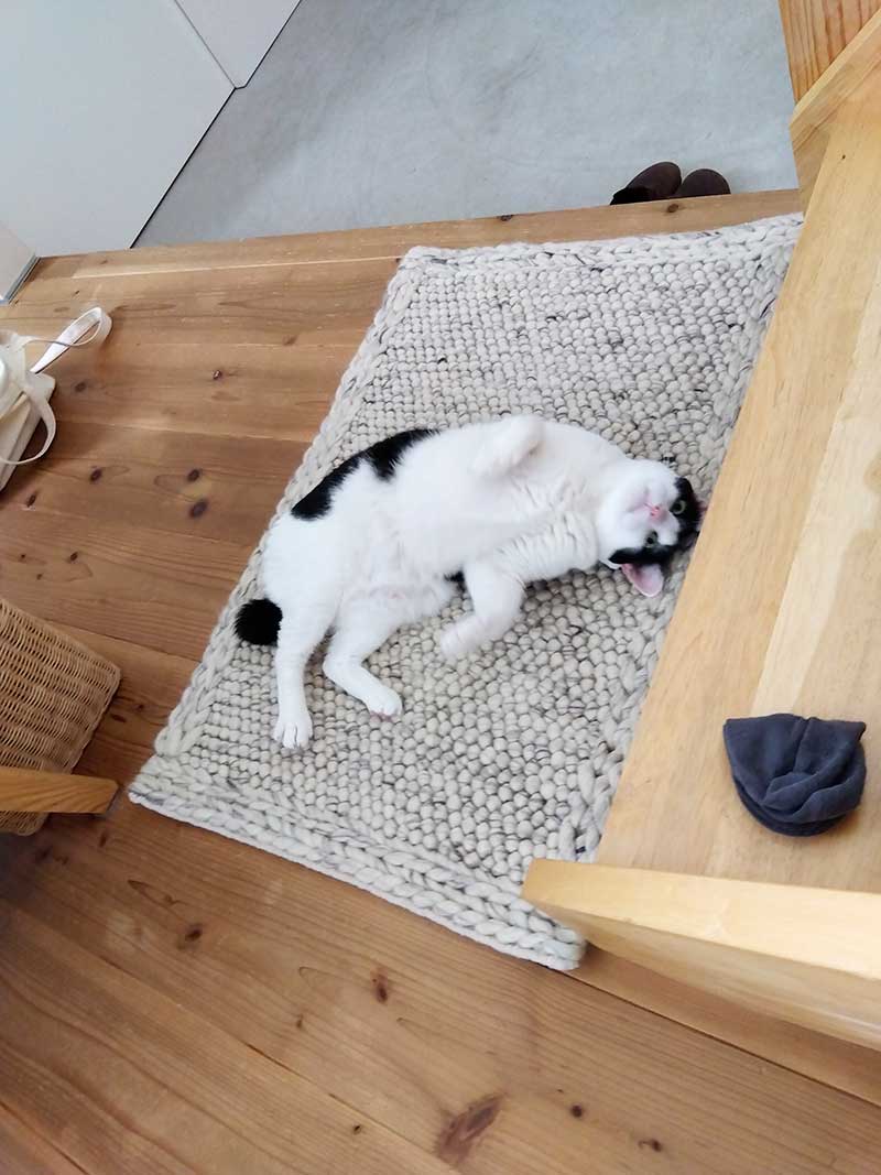 WW MIX flameシリーズ おしゃれに使える天然素材ウールの玄関マット [ホワイトグレー マット] / WW52E