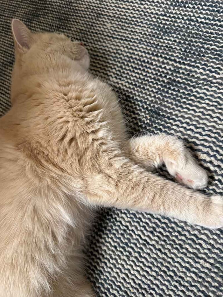 ヴィンテージ風ラグ [NatuRug] ヘリテージ ヴィンテージ風ラグ ウール100％の緑の絨毯 [NR5604フォレストグリーン]