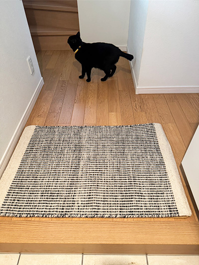 Plant（プラント）シリーズ 上質ウールの玄関マット ホワイト / リバーシブルウールマット(薄手） [プラント ホワイト マット / WN862E]