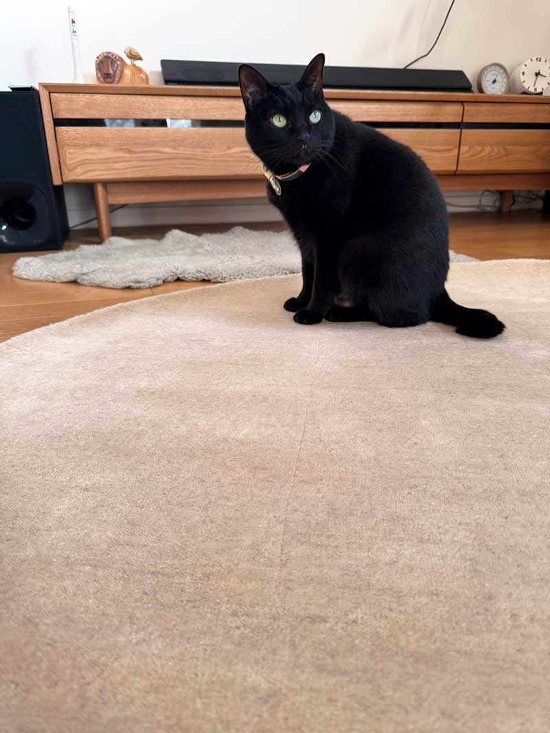 [ハグみじゅうたん®] てざわり無地シリーズ 天然素材の手仕事ウール絨毯 ふかふか厚手ラグ（円形） ハグみじゅうたん [てざわり無地 メローベージュ / ER7001c]