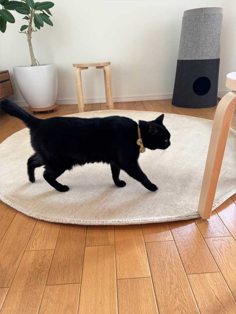 [ハグみじゅうたん®] てざわり無地シリーズ 天然素材の手仕事ウール絨毯 ふかふか厚手ラグ（円形） ハグみじゅうたん [てざわり無地 メローベージュ / ER7001c]