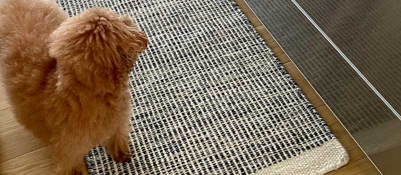 Plant（プラント）シリーズ おしゃれな天然素材のキッチンマット ホワイト / リバーシブルウールマット(薄手） [プラント ホワイト スリム / WN862S]