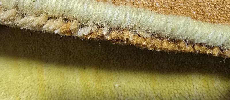 [ハグみじゅうたん®] てざわりハーモニーシリーズ カラフル風水玄関マット / ゴールド(イエロー) / ER6301E